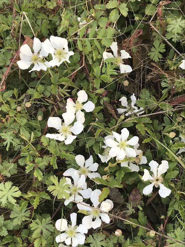 20183D7E-9027-4210-AF7B-1F8236FFF572