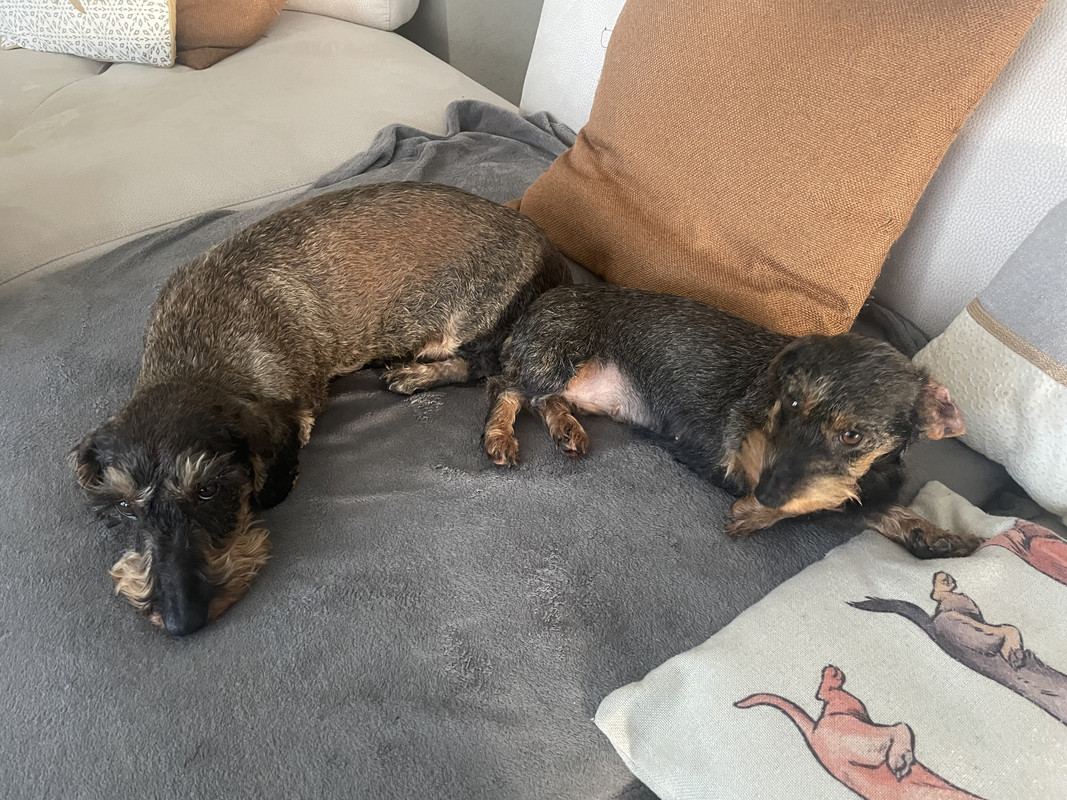 [Image: IMG-6034.jpg]