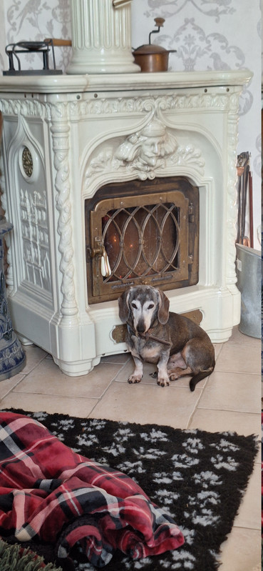 [Image: 20251225-122915.jpg]