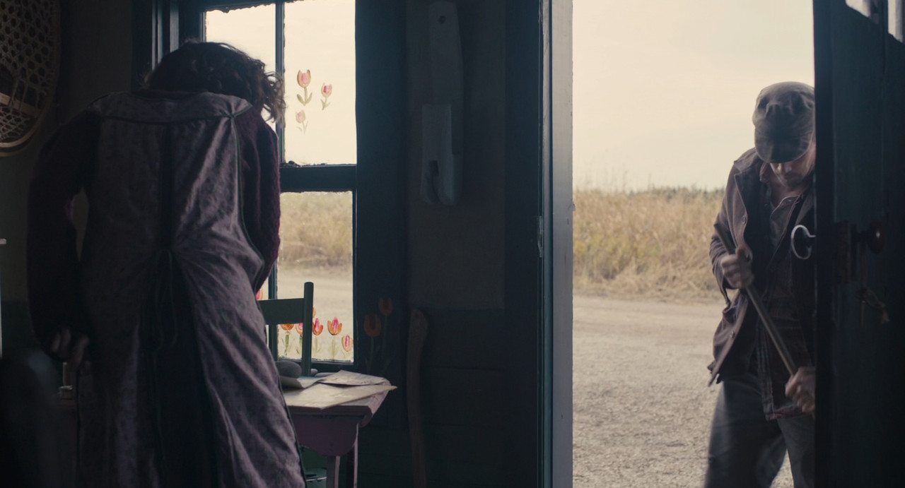 Maudie 2016 (1080p x265 10bit Tigole).mkv_snapshot_01.00.03_[201