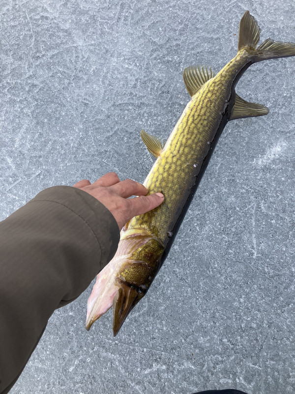 E375FD49-5BB9-42B3-8816-64380C4C203A