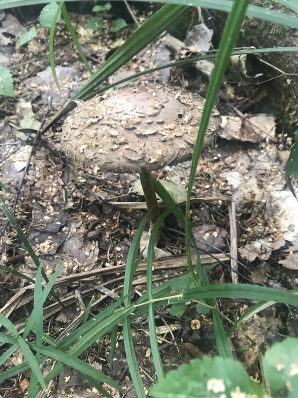 F6956EE3-DA57-4F1E-A72B-19E5E2D0D02D