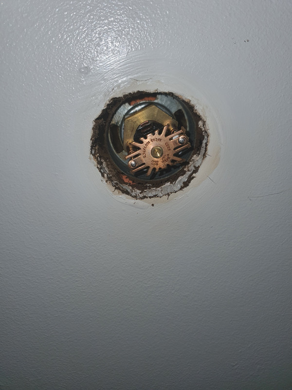 16667466736802570759053207795597