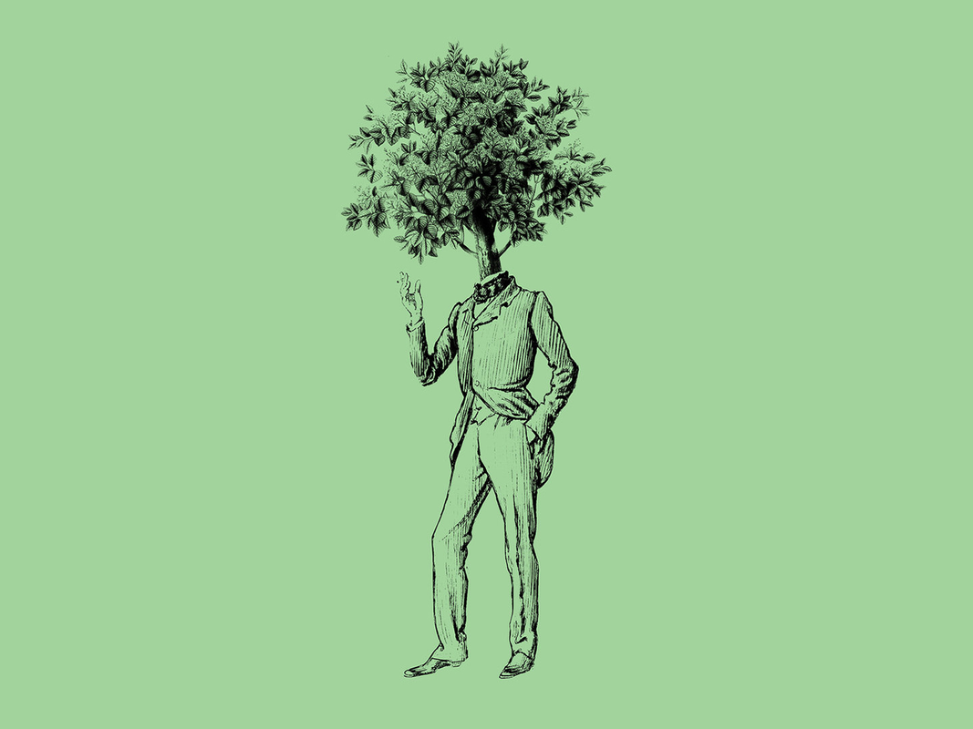 Cover image for What If...Humans Could Photosynthesize?