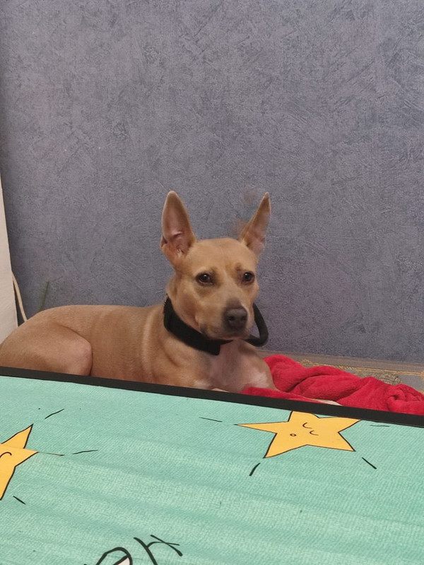 FDA4CC9A-D541-441D-8908-A317EABB1358