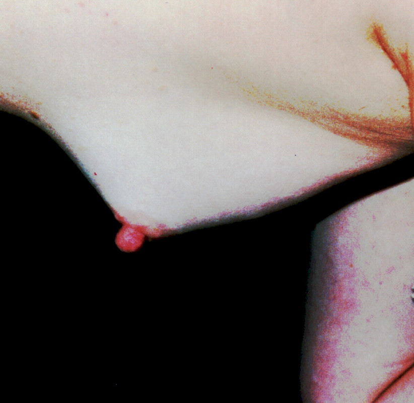 Nancy, breasts(07)