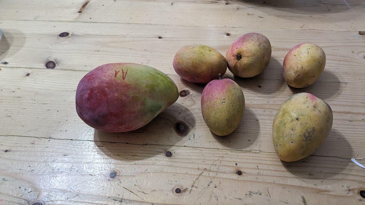 PXL_20240607_234846547