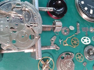 76906872_10220954647602523_215836112512352256_o