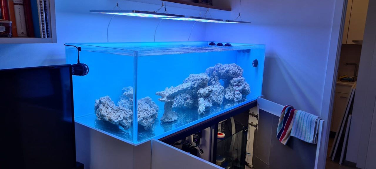 8ABAF4EE-FD96-4301-9FA8-02C7CC303DD8