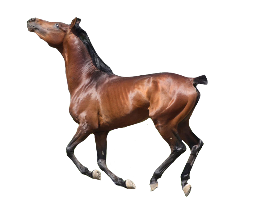 76EF97CA-69E0-40B0-BCB3-D6DEA7BAFEA5