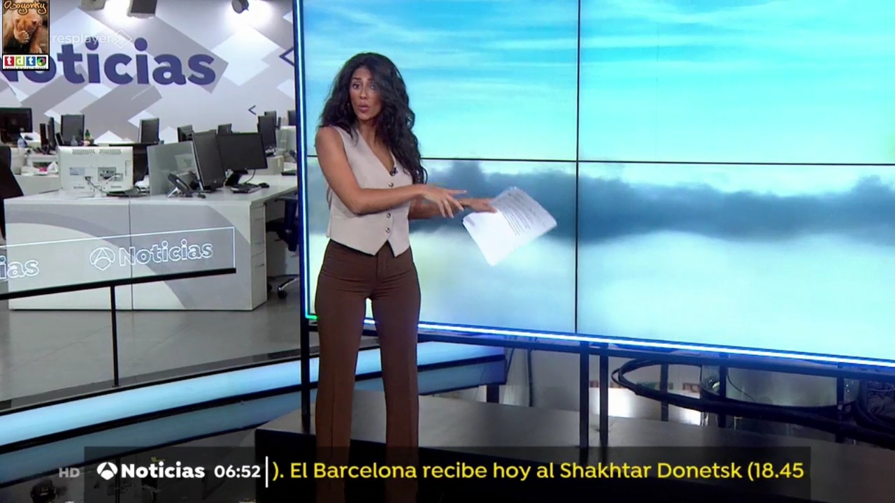 noormarronbajosA3_oso3sssss