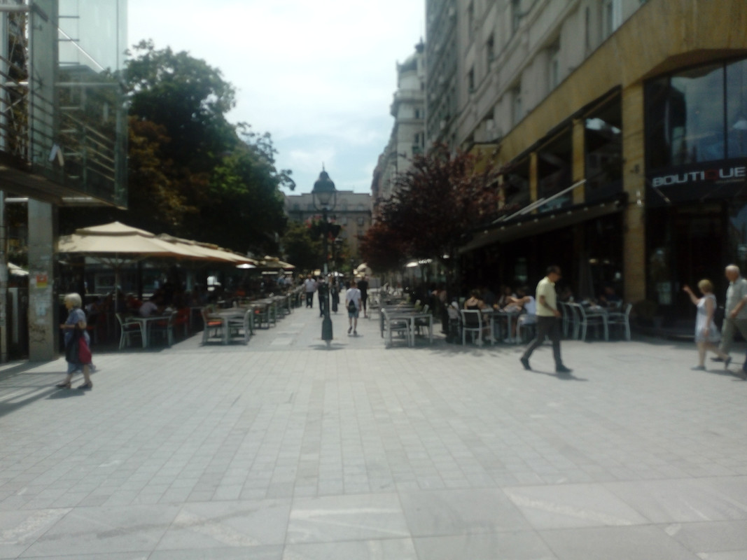 IMG-20190612-140239.jpg