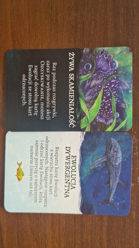 16961585135096046254819471565878