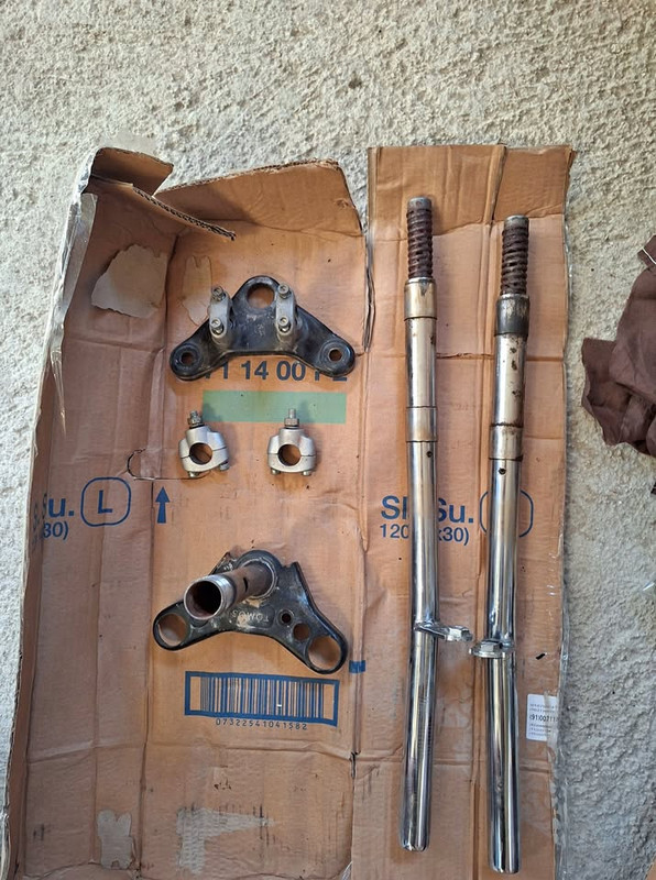 568104258 122275343312030693 2926907357442324779 n