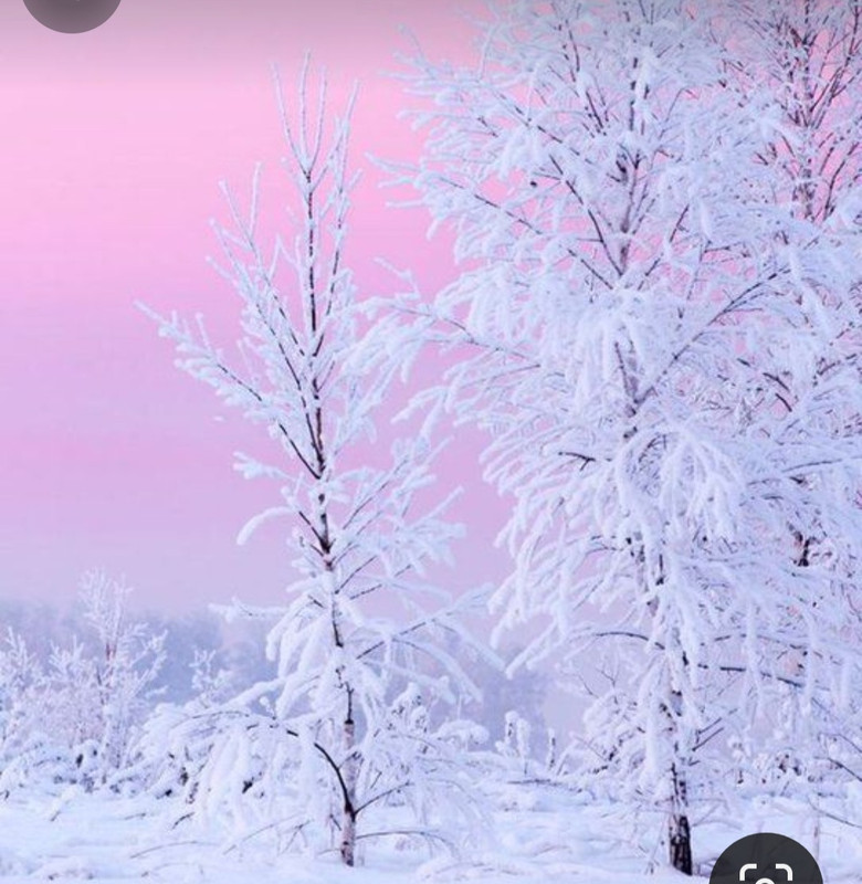 Screenshot_20240203_231009_Pinterest