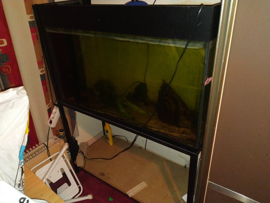 273510071_329561075609866_6439017048877068973_n