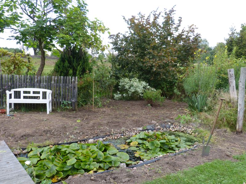 2014-08-31 Präriebeet 2