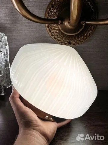 485007195_9359062644185245_8100620870092923176_n