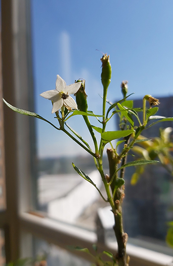 [Image: 20200701-092858.jpg]