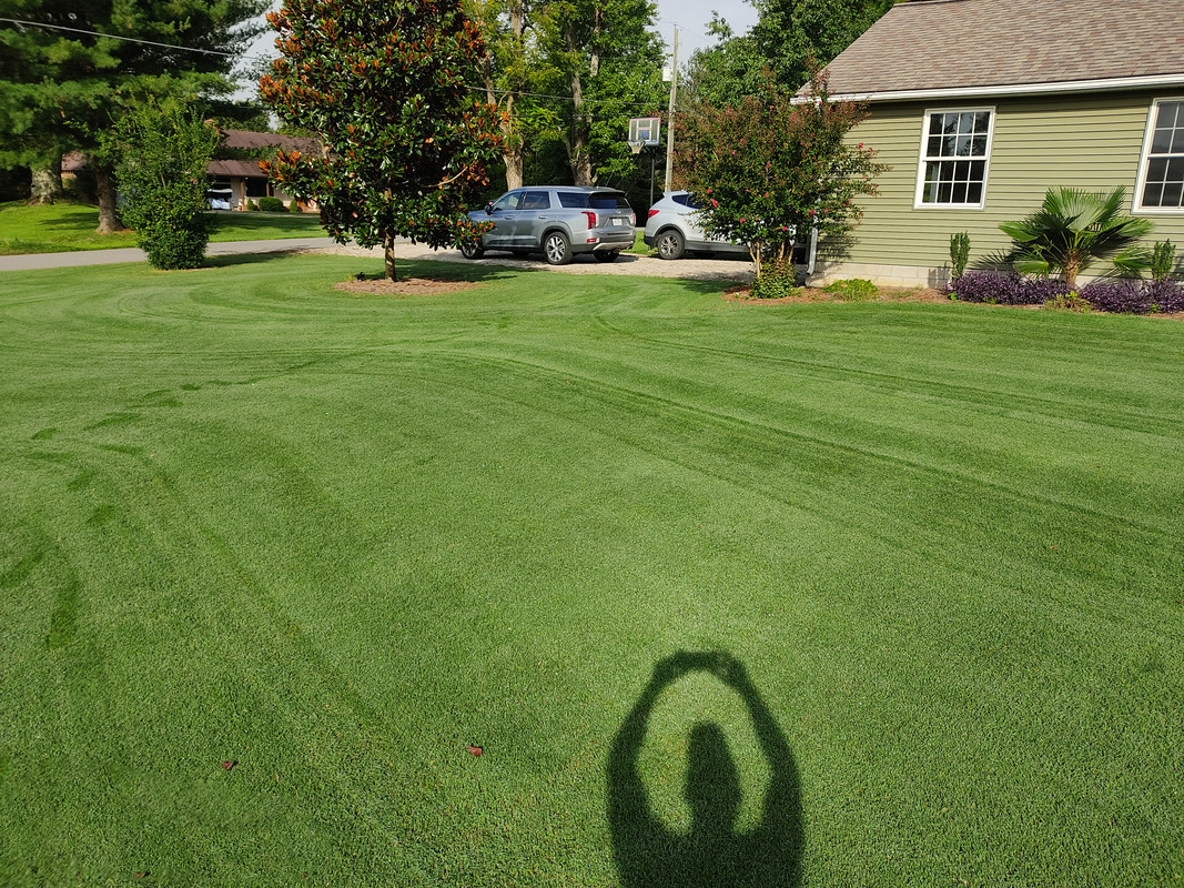 【U LAN】Byte Damage Dying Bermuda Training Bermuda Disaster | Lawn Care Forum