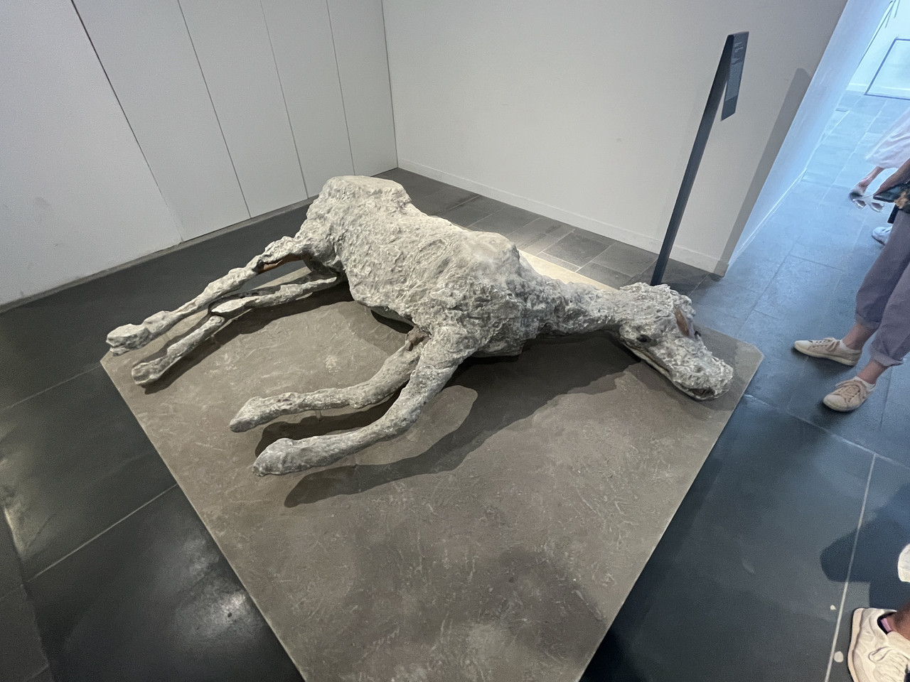 20230703 121116110 i OS