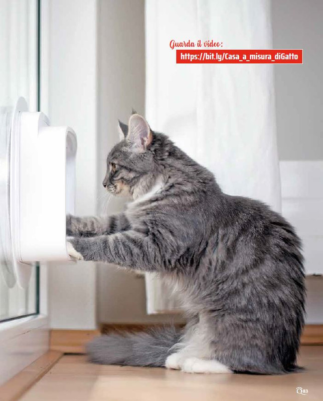 QuattroZampe Dic 2022-Gen 2023 (10)