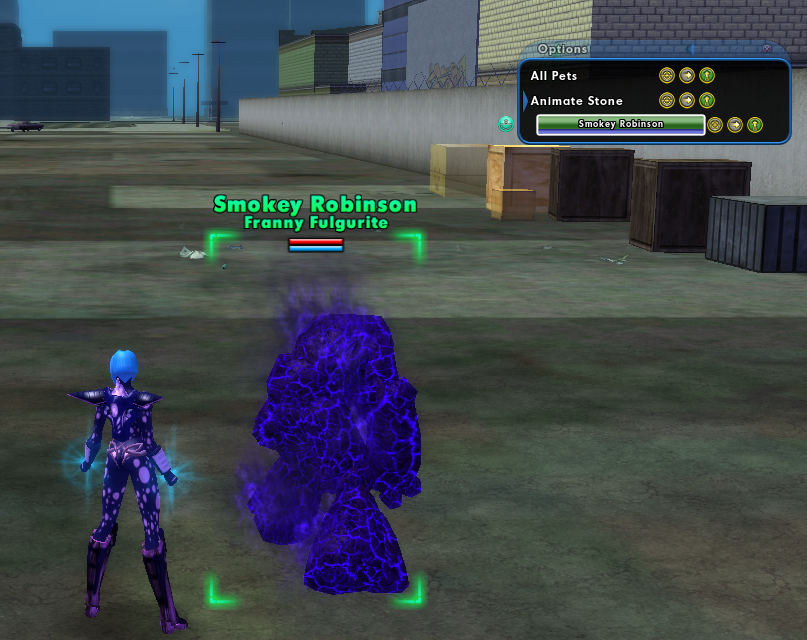 Capture 2 individual pet