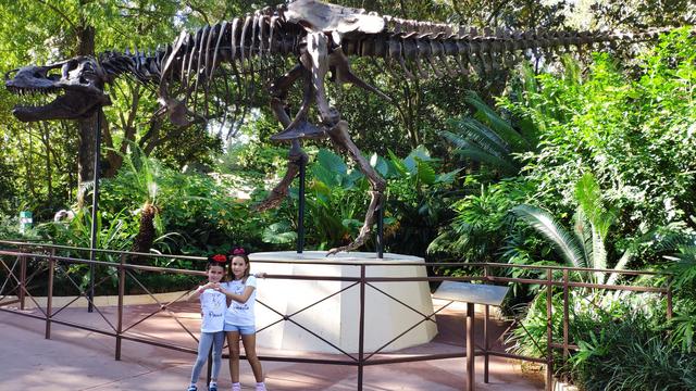 El secreto mejor guardado. Walt Disney World - Orlando octubre 2019 - Blogs de USA - Primer día Animal Kingdom y comida sorpresa (16)