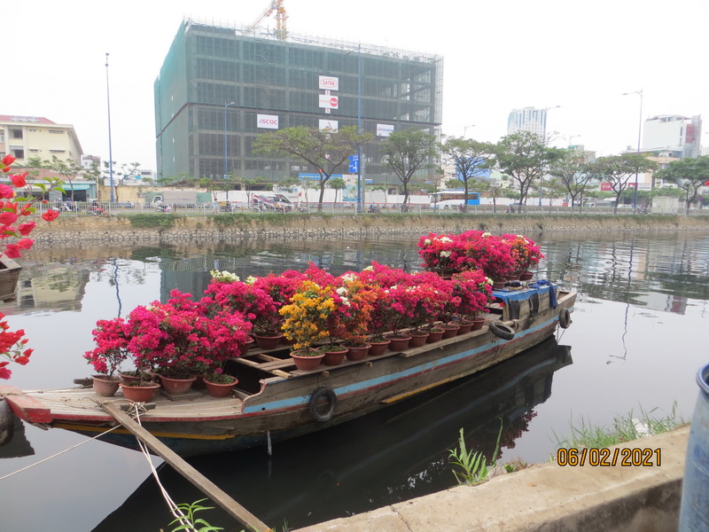 [Image: IMG-7654.jpg]