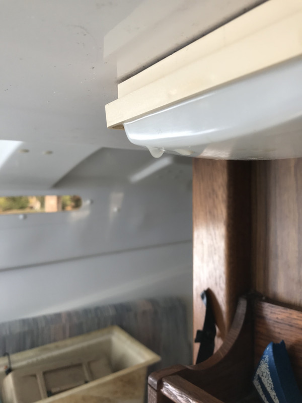 F0ADE882-B3D4-4B1D-8AA5-03BEB5489288