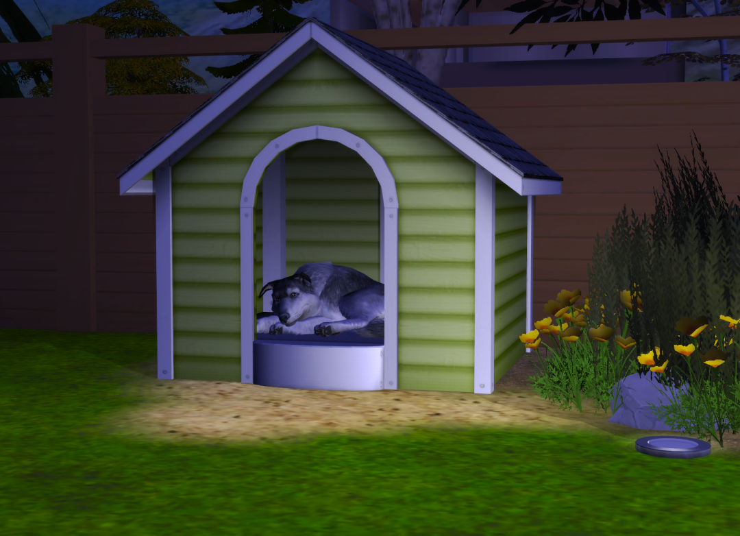 Sims2-EP9-RPC-2024-10-19-12-56-11-08