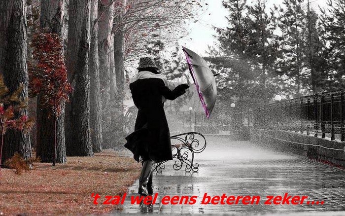 welkom opblog Bunic Jos