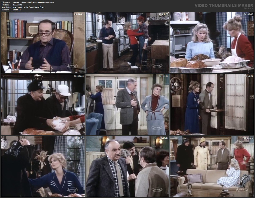 Newhart - 2x06 - Don't Rain on My Parade.mkv