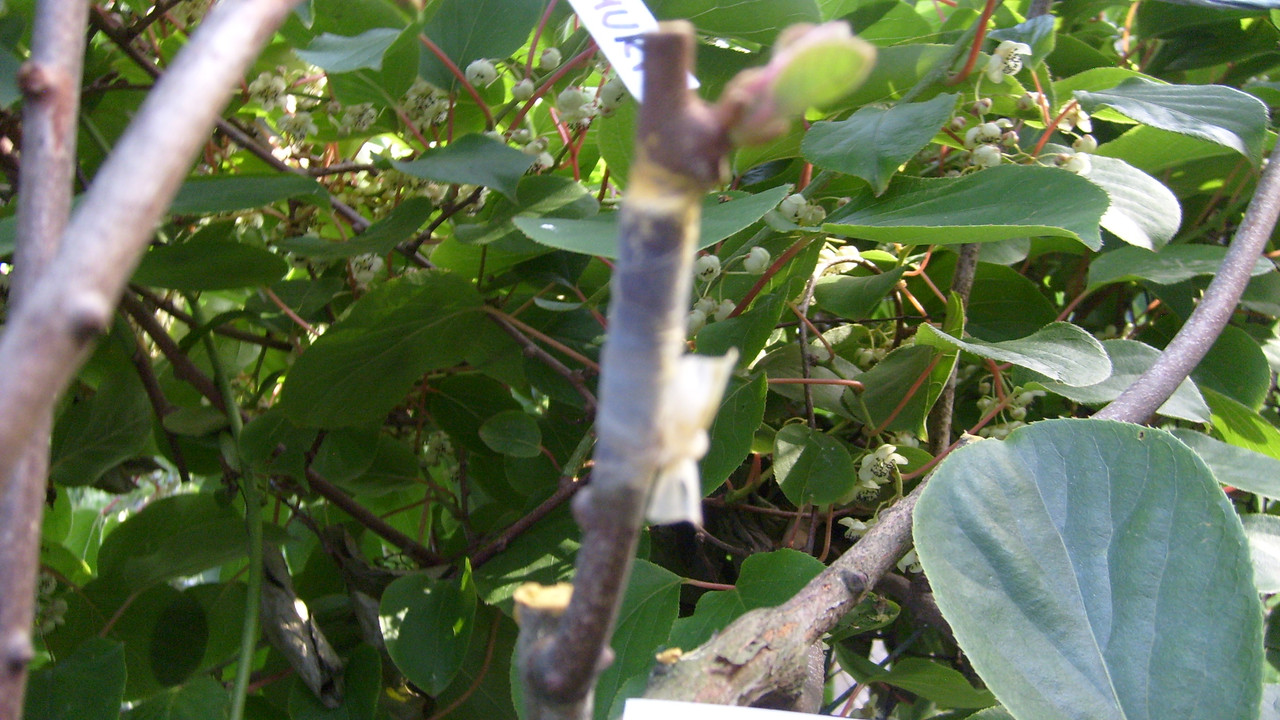 S6302079 — Postimages
