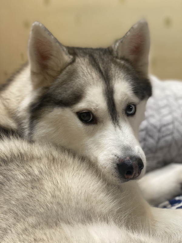 1F0EE05C-B733-48AF-AFEE-3A8340D13F5C