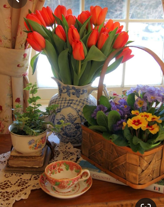 Screenshot_20230712_005604_Pinterest