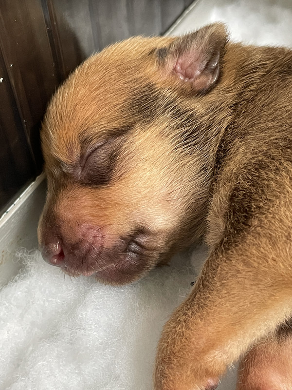 AF0CF287-BB68-424A-9F99-0A3534449636