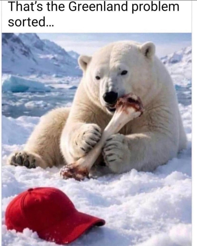 [Image: Image-5.jpg]