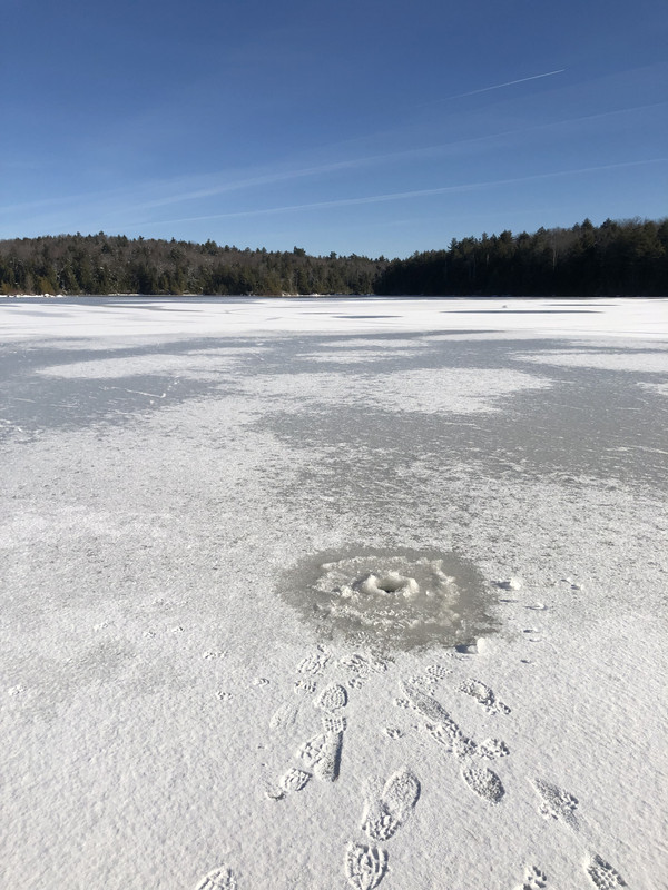 1DBFE353-6DB6-4EE3-99BC-DCD3CEDBCF3D