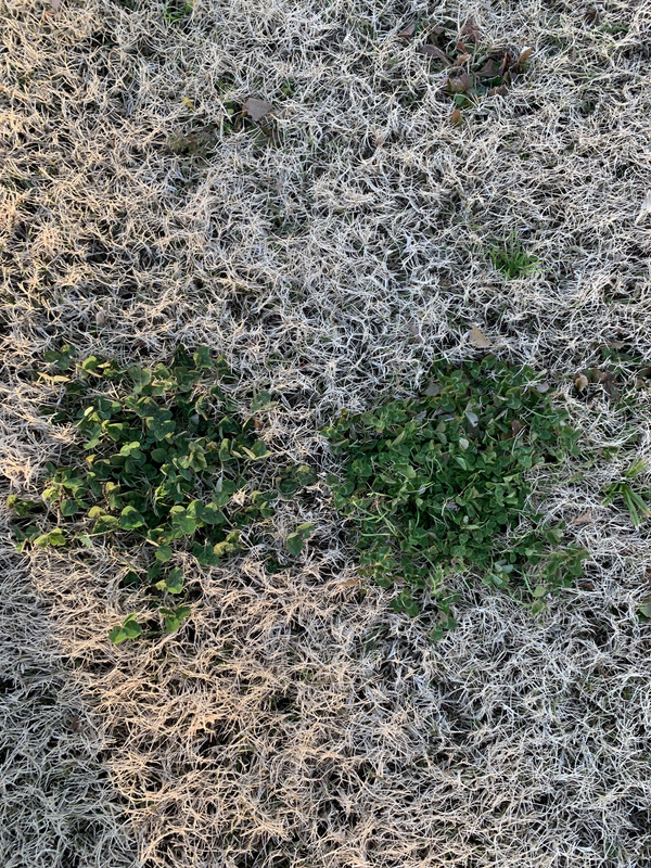 2020-12-22_15-57-22_399