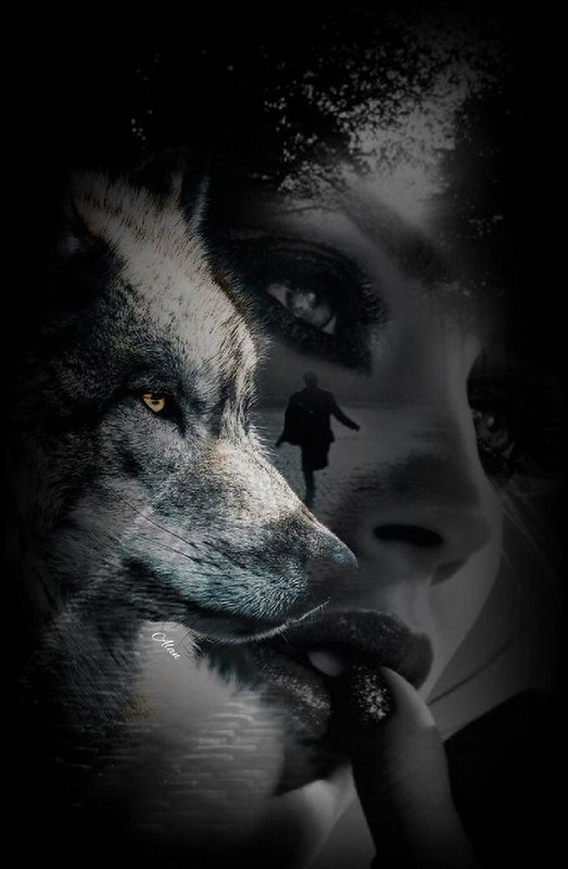 0ce47bfcdb62f75a8fb606ea758de58e