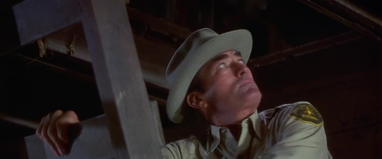 I-Walk-The-Line-1970-720p-Blu-Ray-YTS-MX