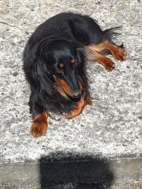 [Image: 20240506-163713.jpg]