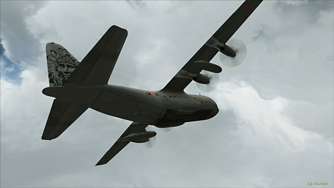 C3.jpg