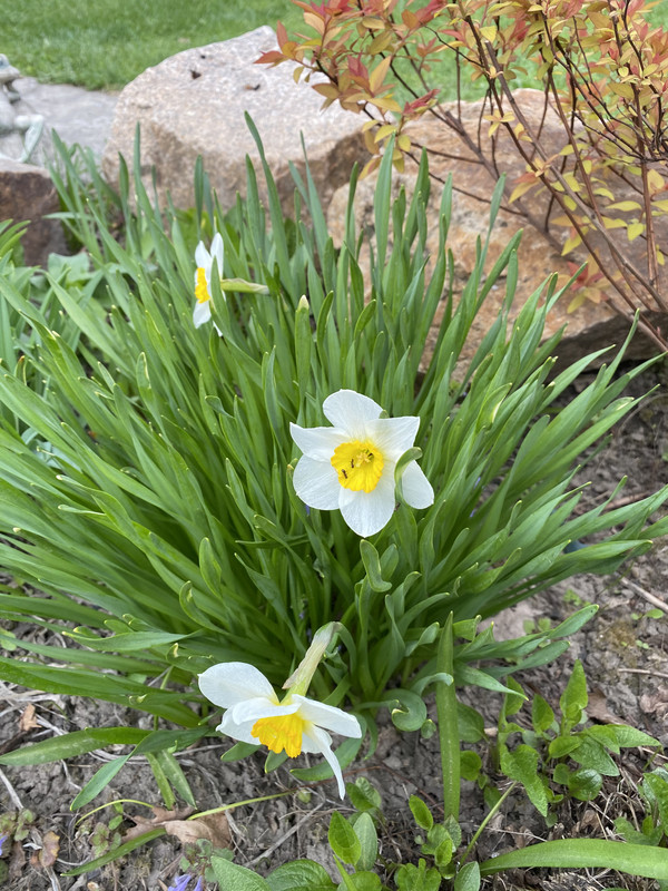 21C41875-7B9C-489A-86B7-73410E745500