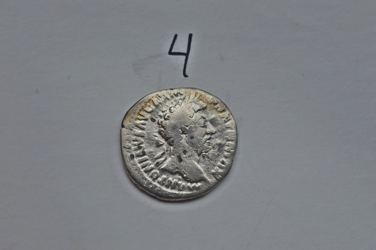 DSC 1831 — Postimages