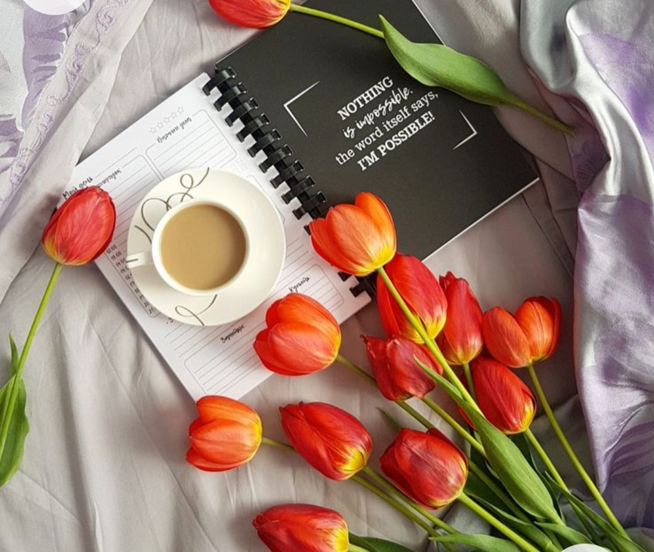 Screenshot_20221227_005321_Chrome