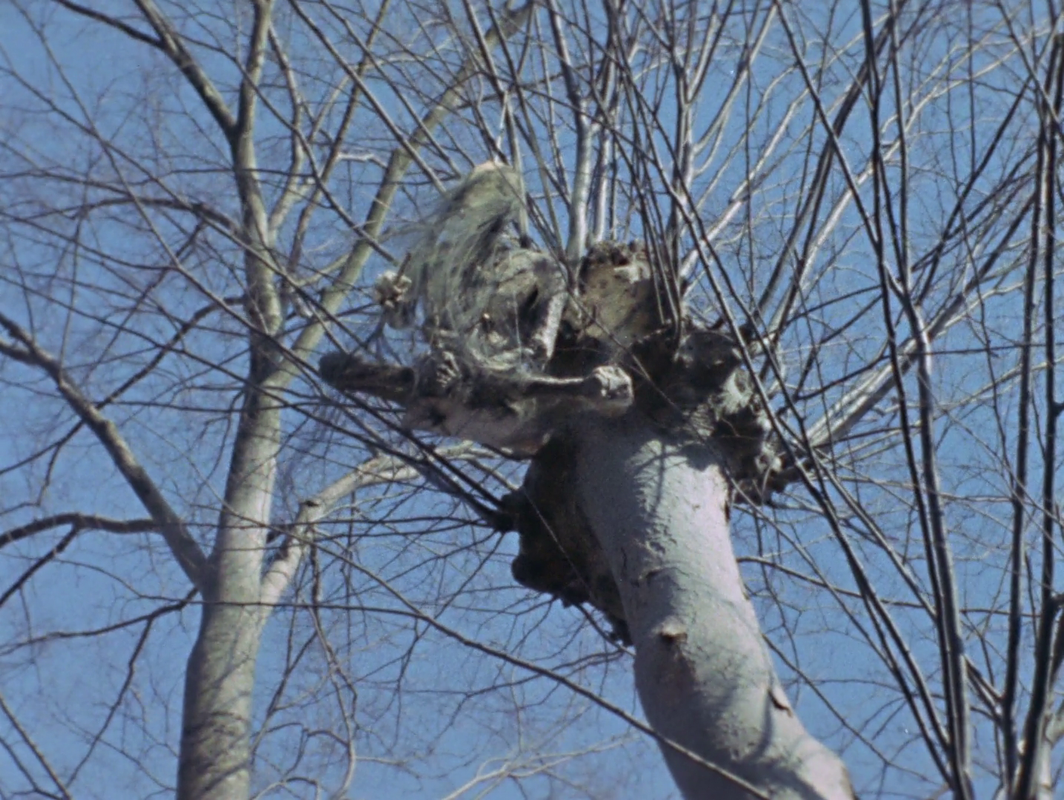 vlcsnap-2025-06-08-02h14m08s804