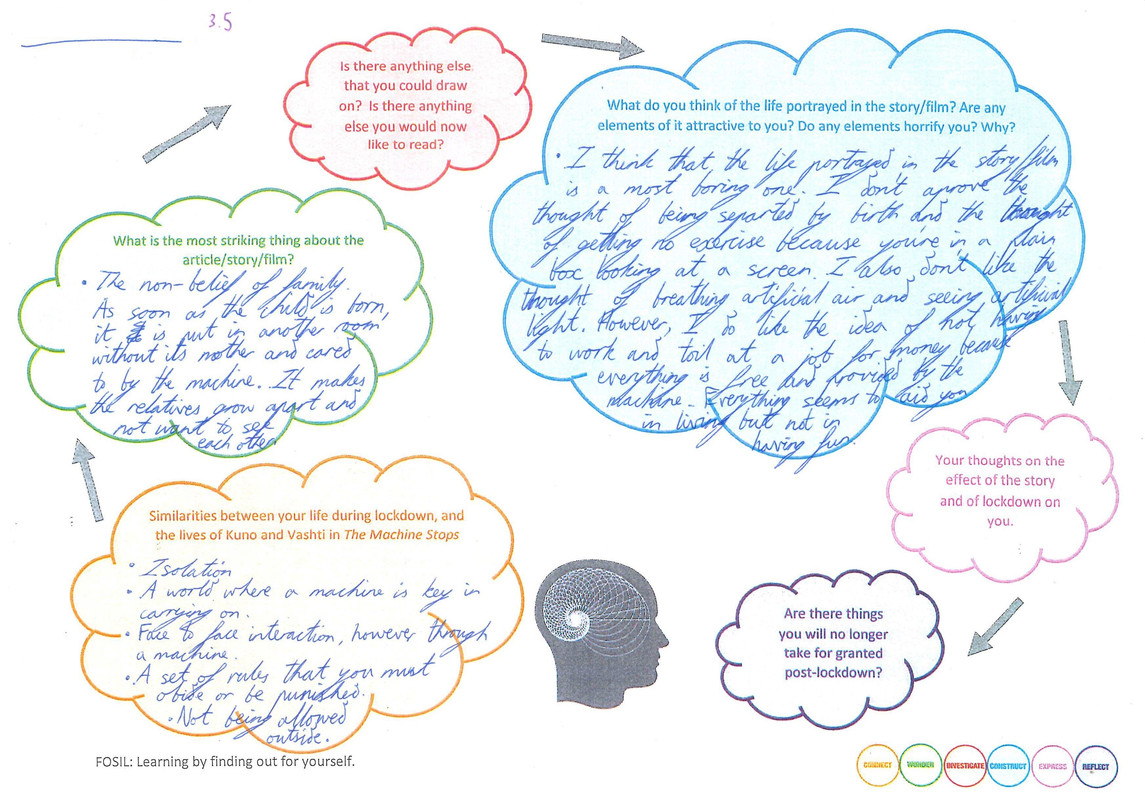 Graphic Organizer