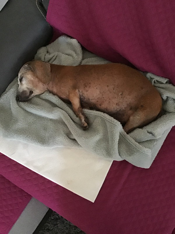 [Image: 994-FD163-764-E-4-DB2-A538-A12-D3-B752-FE7.jpg]